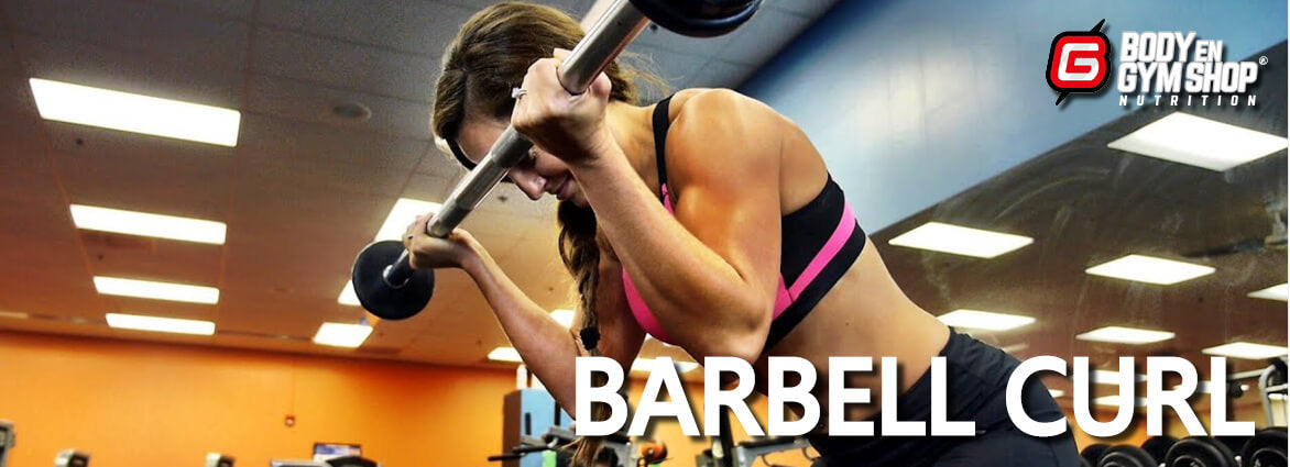 Barbell Curl