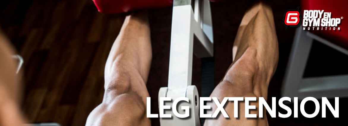 Leg Extension