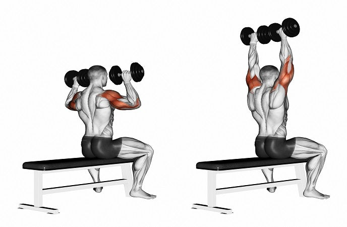 Dumbbell Shoulder Press